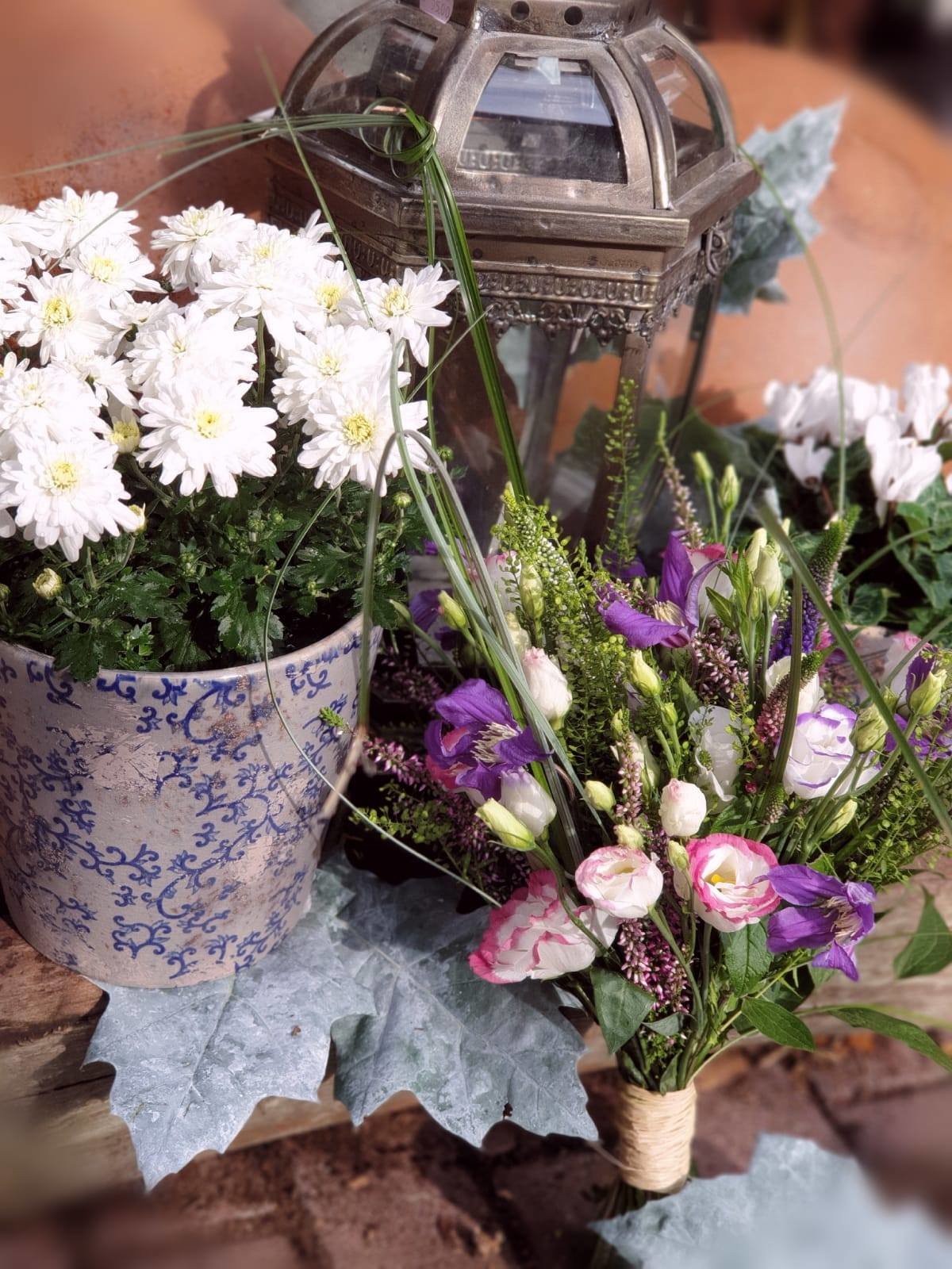 Zahnärzte In Brandenburg An Der Havel Blumenhandel Zahn | Brandenburg an der Havel