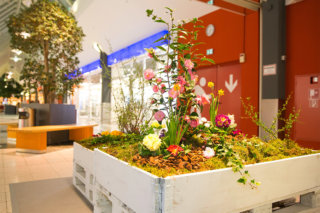 Frühlingshafte Bepflanzung im Beetzsee Center