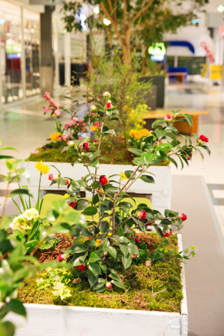 Frühlingshafte Bepflanzung im Beetzsee Center