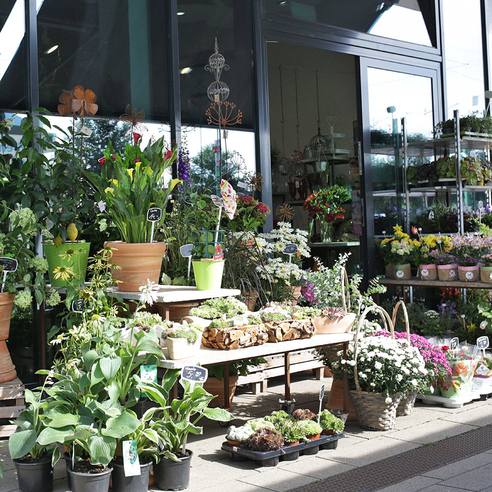 Blumenhandel Zahn Brandenburg an der Havel