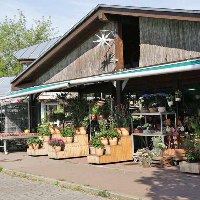 Zahnärzte In Brandenburg An Der Havel Blumenhandel Zahn | Brandenburg an der Havel
